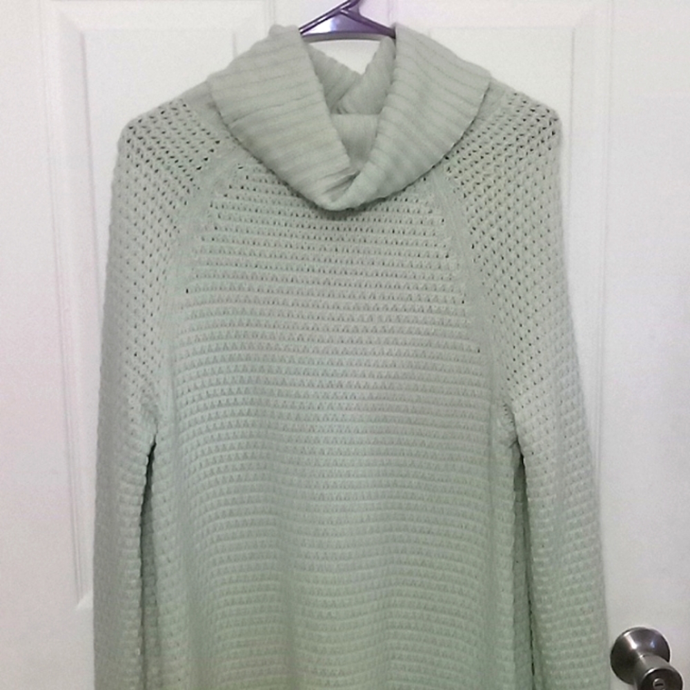Faded Glory sweater